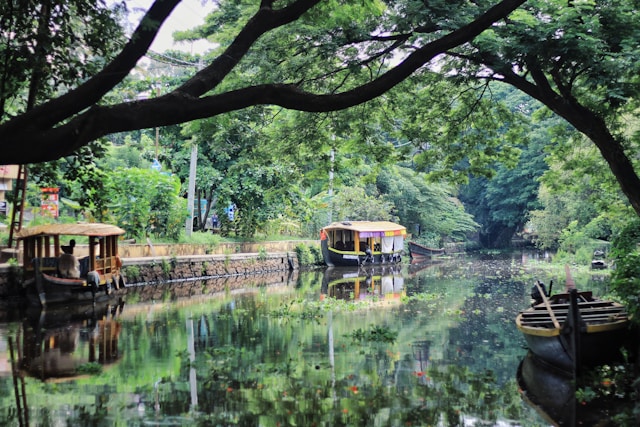 Alleppey 3